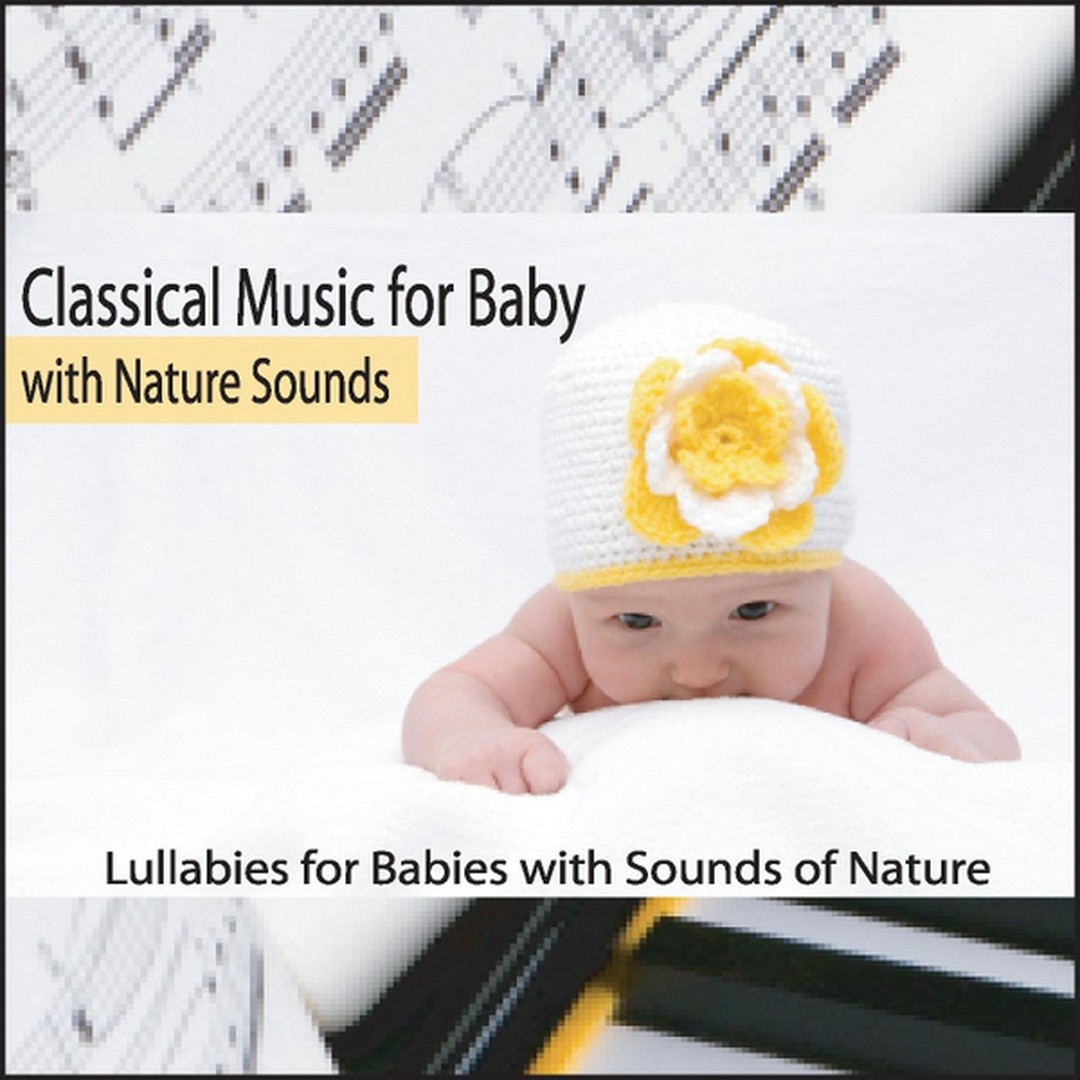 NEW CRIB NOTES Classical Music For Babies 2 CD Set 24 Songs Factory Sealed!  - eBay