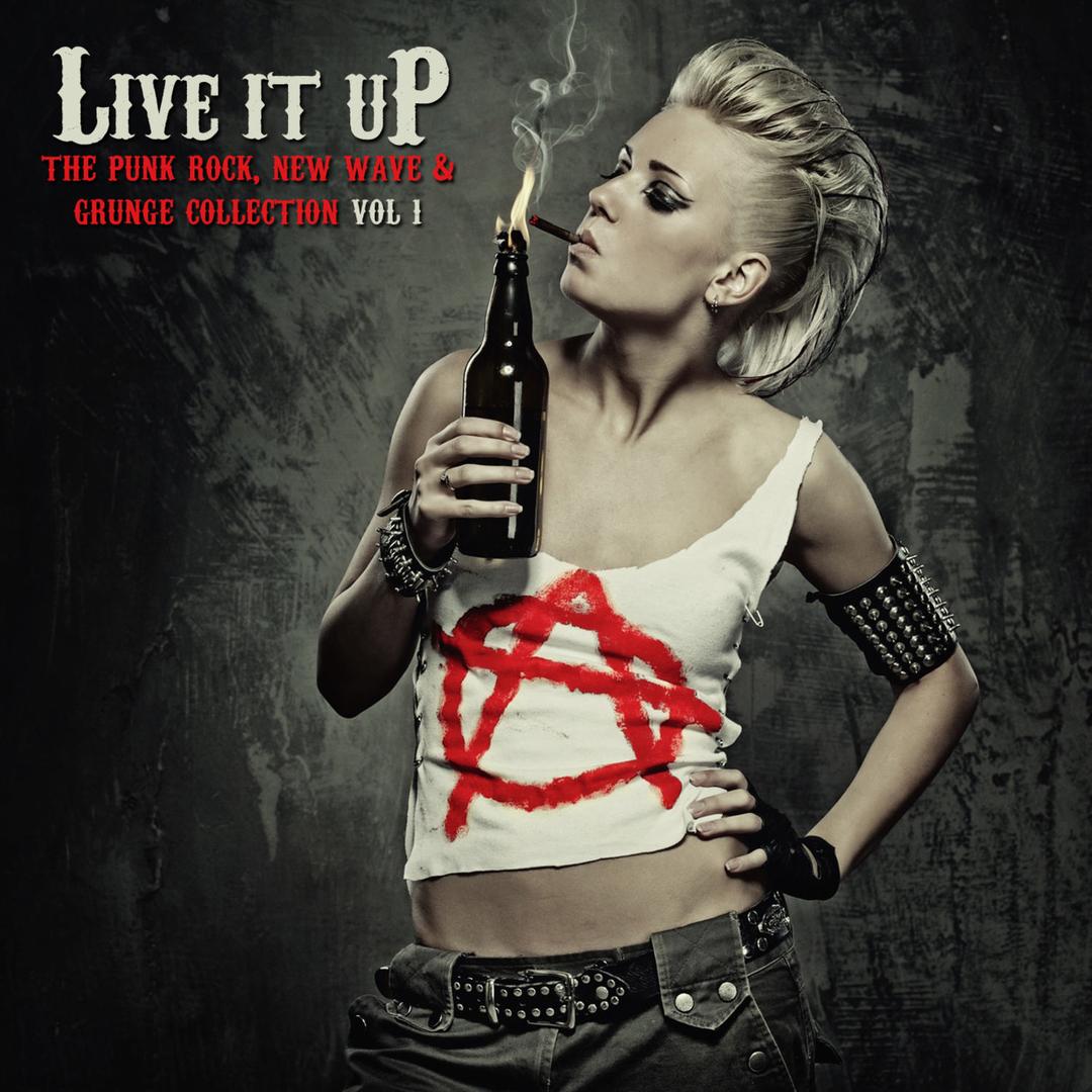 Live It Up Vol 1 The Punk Rock New Wave And Grunge Collection