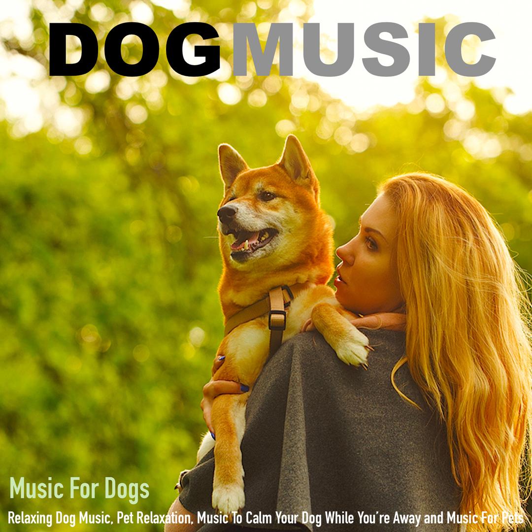 relaxing music for dogs